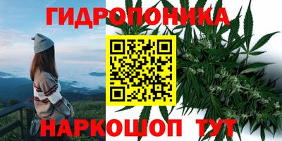 ГАЛЛЮЦИНОГЕННЫЕ ГРИБЫ Обнинск