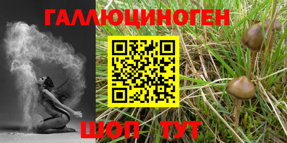 Славянск-на-Кубани  Галлюциногенные грибы Cubensis  Вход с VPN 
